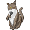 Cat Singer Microphone Singing