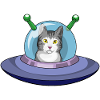 Cat UFO