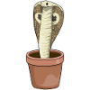 Snake flowerpot