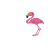 Funny flamingo graphics