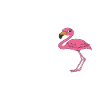 Funny flamingo graphics