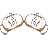 Boxhandschuhe