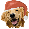 Dog with Santa hat