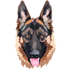 Sheepdog