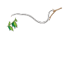 Flying snake Sliding snake Chrysopelea