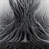 Brain Root