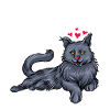Maine Coon cat