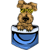 FURRY DOG