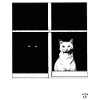 Black Cat, White Cat