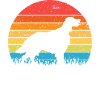 English Setter