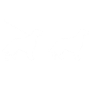 Deutsch Setter