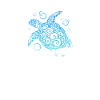 Santa Cruz