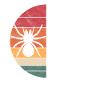 Tarantula Tarantula Spider Outfit