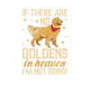 Golden Retrievers