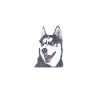 Husky