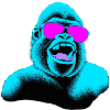 Mr. Cool Monkey