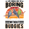 Budgerigar Gift Welli cockatiel