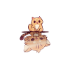 Crazy Cat Lady