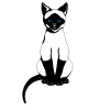Siamese cat