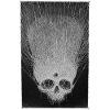 Skull of Ghost