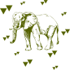 Elephant - Africa - Safari