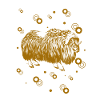 Bison - Buffalo