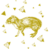 Rat - rongeur