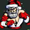 Christmas Boxer
