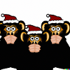 Christmas Monkeys