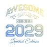 2029 awesome since