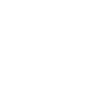 Duck Tolling Retriever « Black Edition »