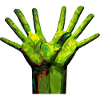 Green Palms Tree