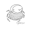 Stingbug - Coleopter Aculaeus