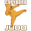 Capybara Judo Fighter