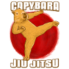 Capybara Meme Jiu Jitsu