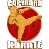 Karaté Capybara
