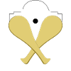PALA DU PAYS BASQUE