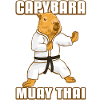 Muay Thai Capybara