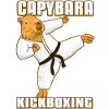 Kickboxing Capybara