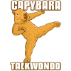 Taekwondo Capybara