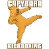 Kickboxing Capybara