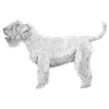Irish SoftCoated WheatenTerrier