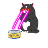 Cat With Laser Eyes
