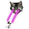 Cat With Laser Eyes