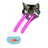 Cat With Laser Eyes