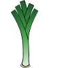 Leek