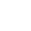 Stay Wild
