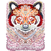 Indian tribal red panda