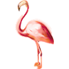 Flamingo Gift Idea