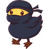 Ninja Duck